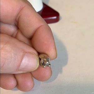 Sterling chamilia dog charm